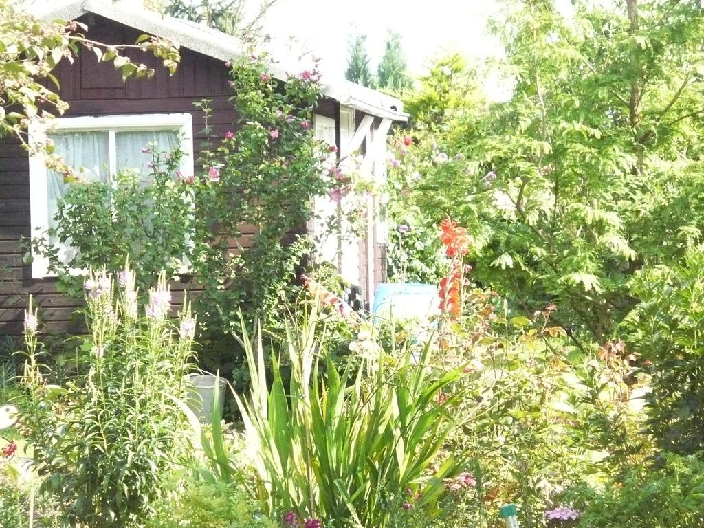 Ferienwohnung Wohnen bei Gabi Walkendorf Zimmer foto